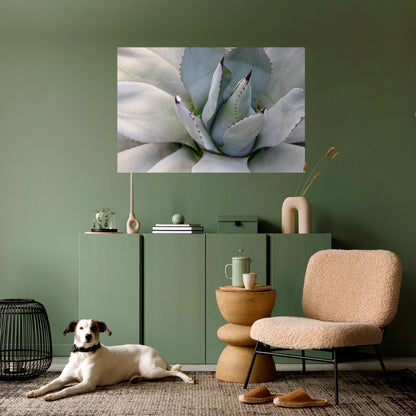 Poster orizzontale staccabile e attaccabile AGAVE ELEGANCE