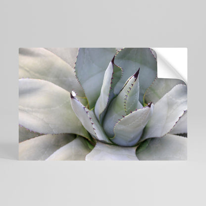 Poster orizzontale staccabile e attaccabile AGAVE ELEGANCE
