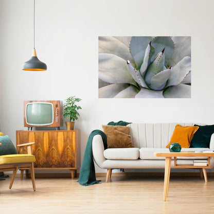 Poster orizzontale staccabile e attaccabile AGAVE ELEGANCE