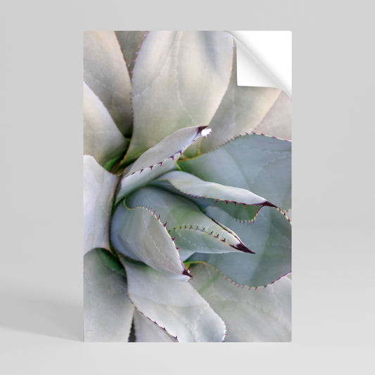 Poster verticale staccabile e attaccabile AGAVE ELEGANCE