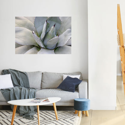 Poster orizzontale staccabile e attaccabile AGAVE ELEGANCE