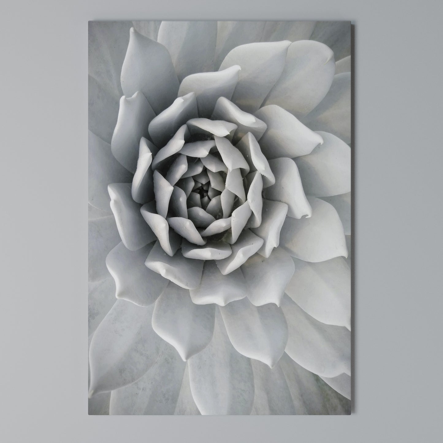 ELEGANT PETAL SWIRL Stampa su Tela Verticale