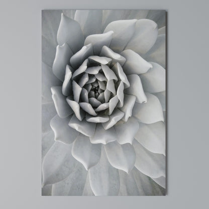 ELEGANT PETAL SWIRL Stampa su Tela Verticale