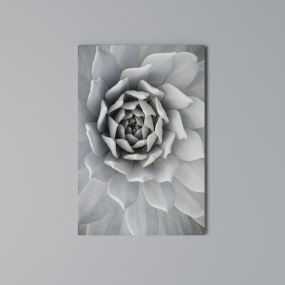 ELEGANT PETAL SWIRL Stampa su Tela Verticale