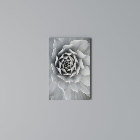 ELEGANT PETAL SWIRL Stampa su Tela Verticale