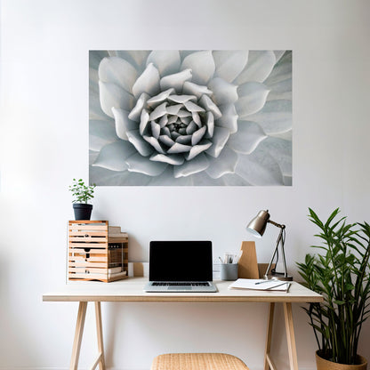 Poster orizzontale staccabile e attaccabile ELEGANTE PETAL SWIRL