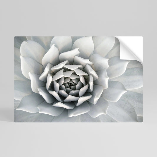 Poster orizzontale staccabile e attaccabile ELEGANTE PETAL SWIRL