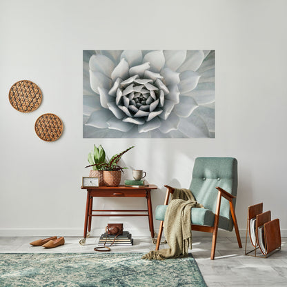 Poster orizzontale staccabile e attaccabile ELEGANTE PETAL SWIRL