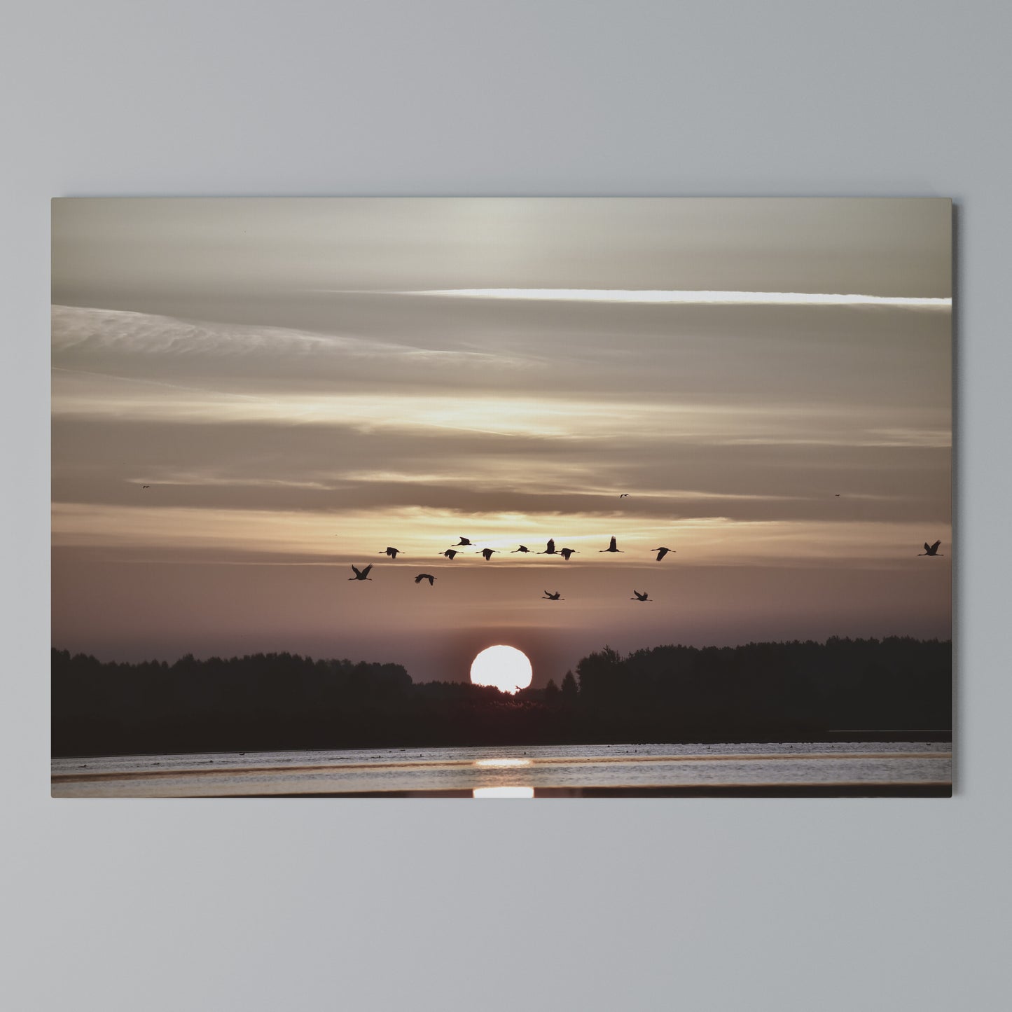 SUNSET FLIGHT SYMPHONY Stampa su tela orizzontale