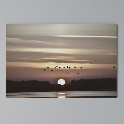 SUNSET FLIGHT SYMPHONY Stampa su tela orizzontale