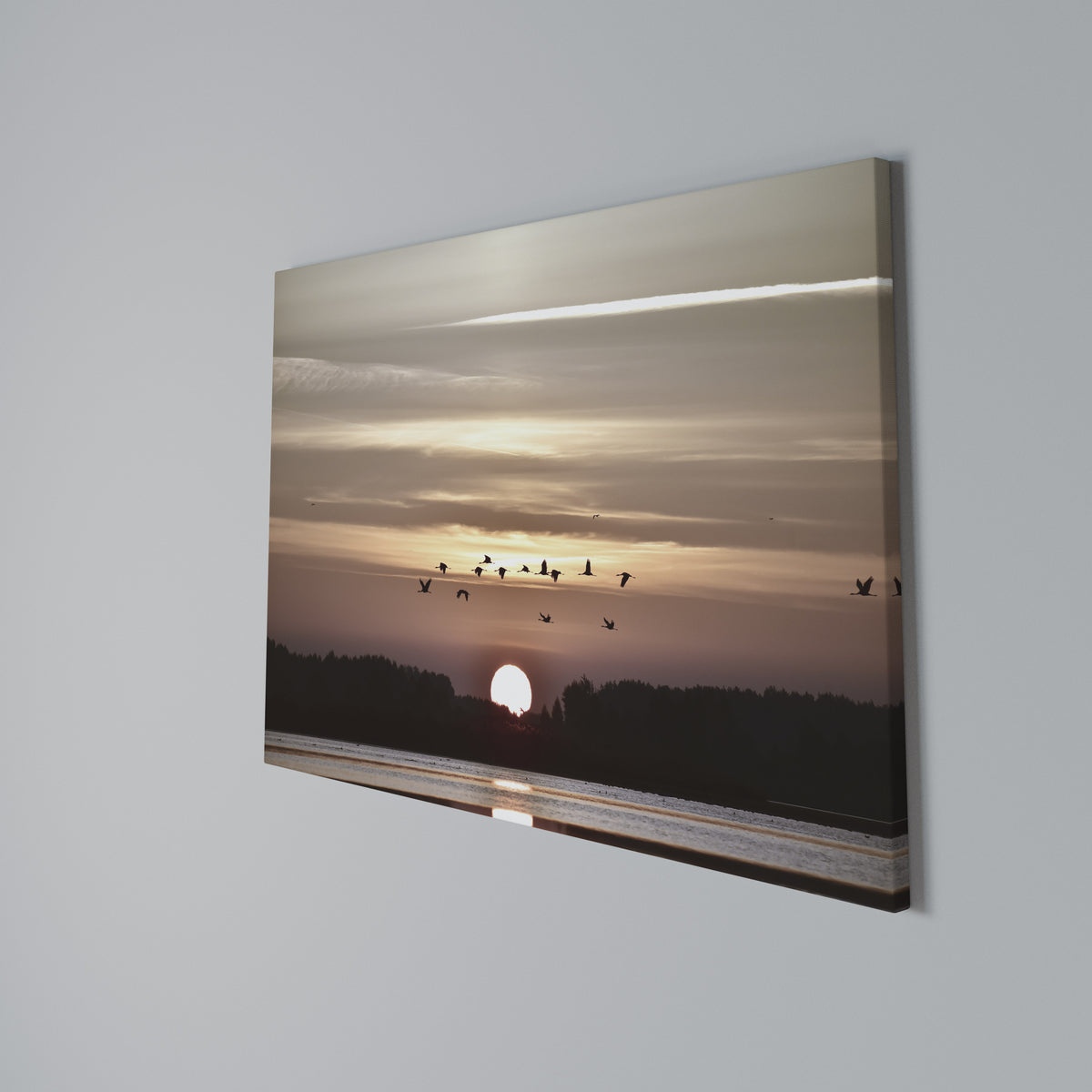 SUNSET FLIGHT SYMPHONY Stampa su tela orizzontale