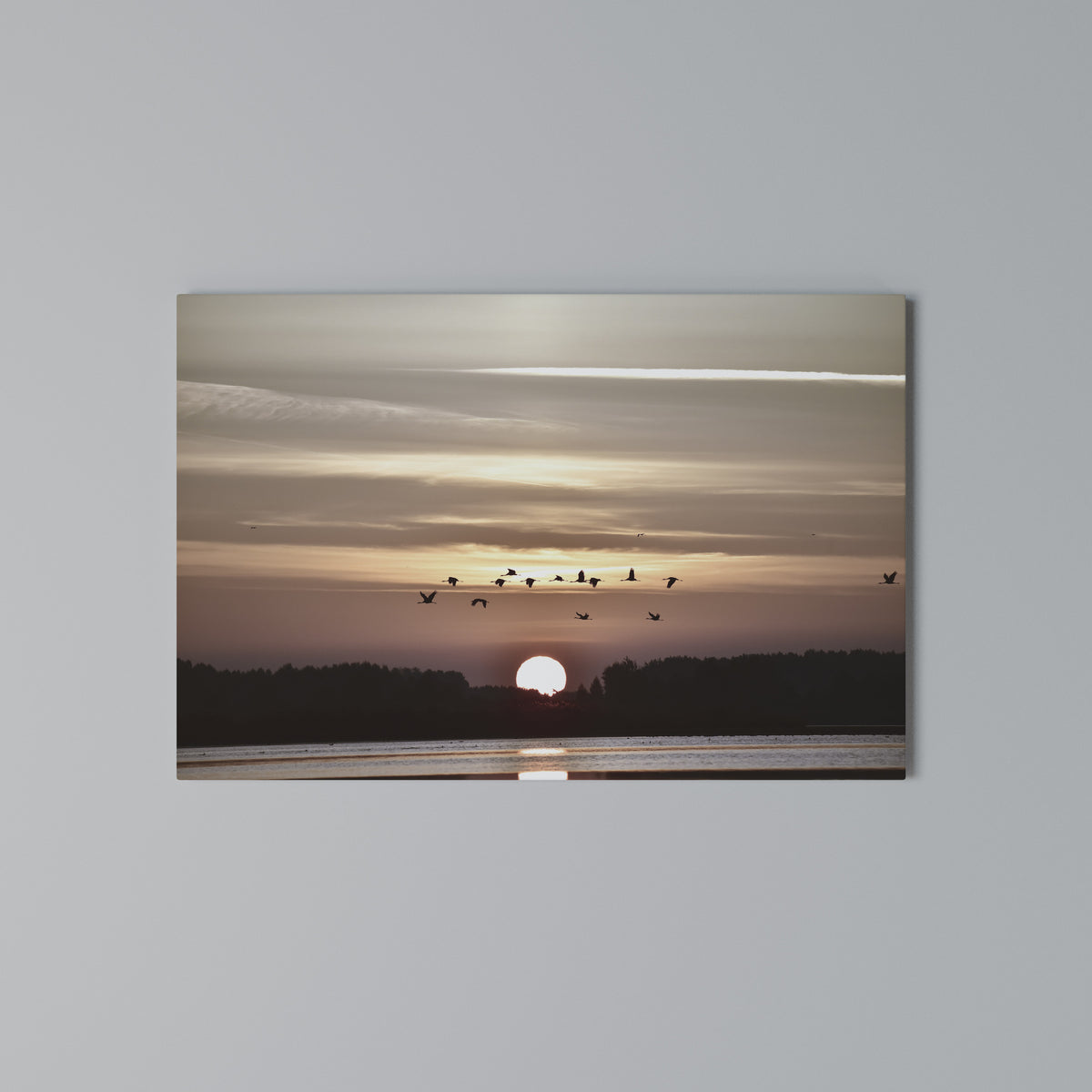 SUNSET FLIGHT SYMPHONY Stampa su tela orizzontale