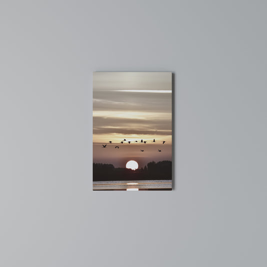 SUNSET FLIGHT SYMPHONY Stampa su Tela Verticale