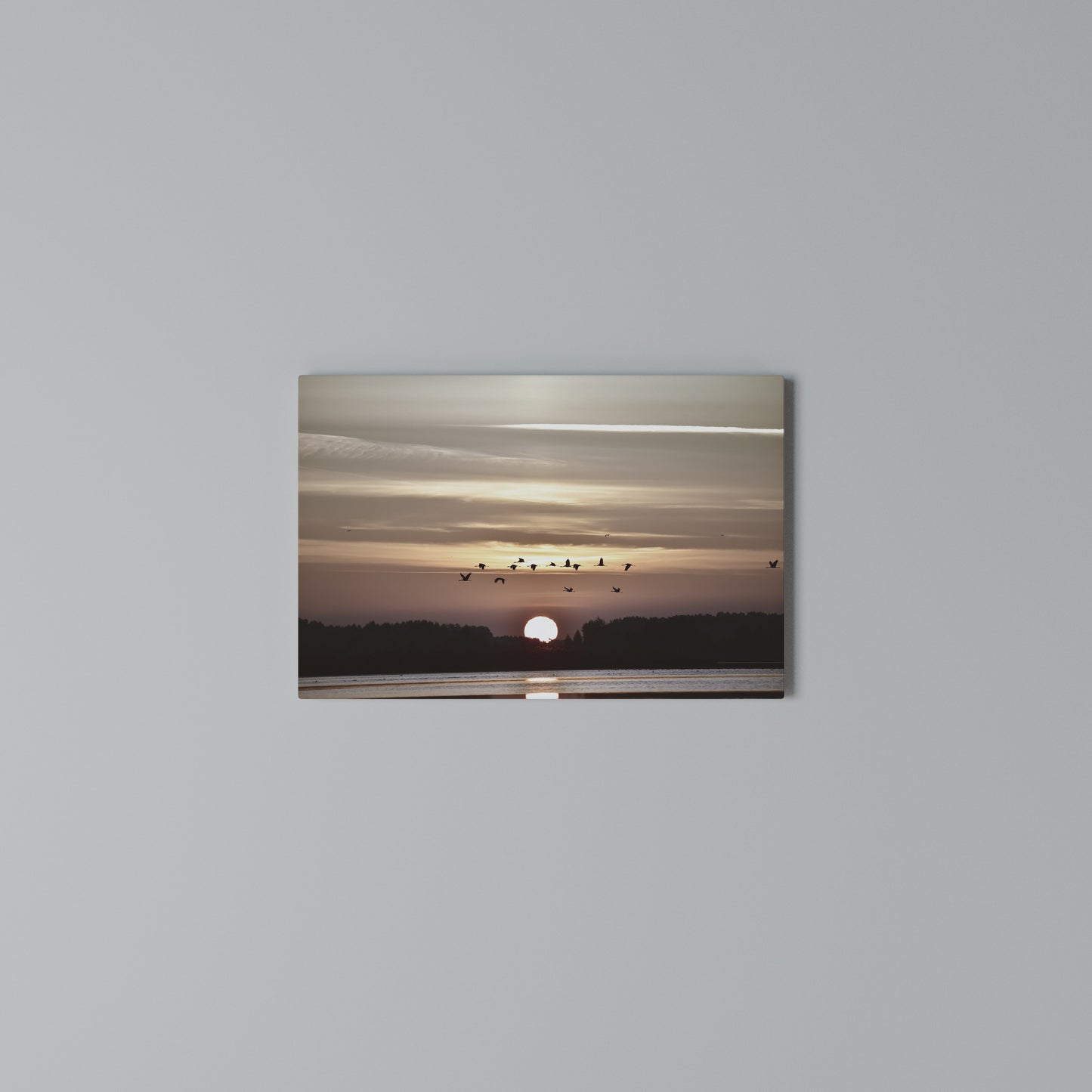 SUNSET FLIGHT SYMPHONY Stampa su tela orizzontale