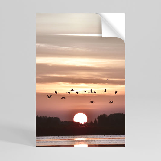 SUNSET FLIGHT SYMPHONY Poster verticale staccabile e attaccabile