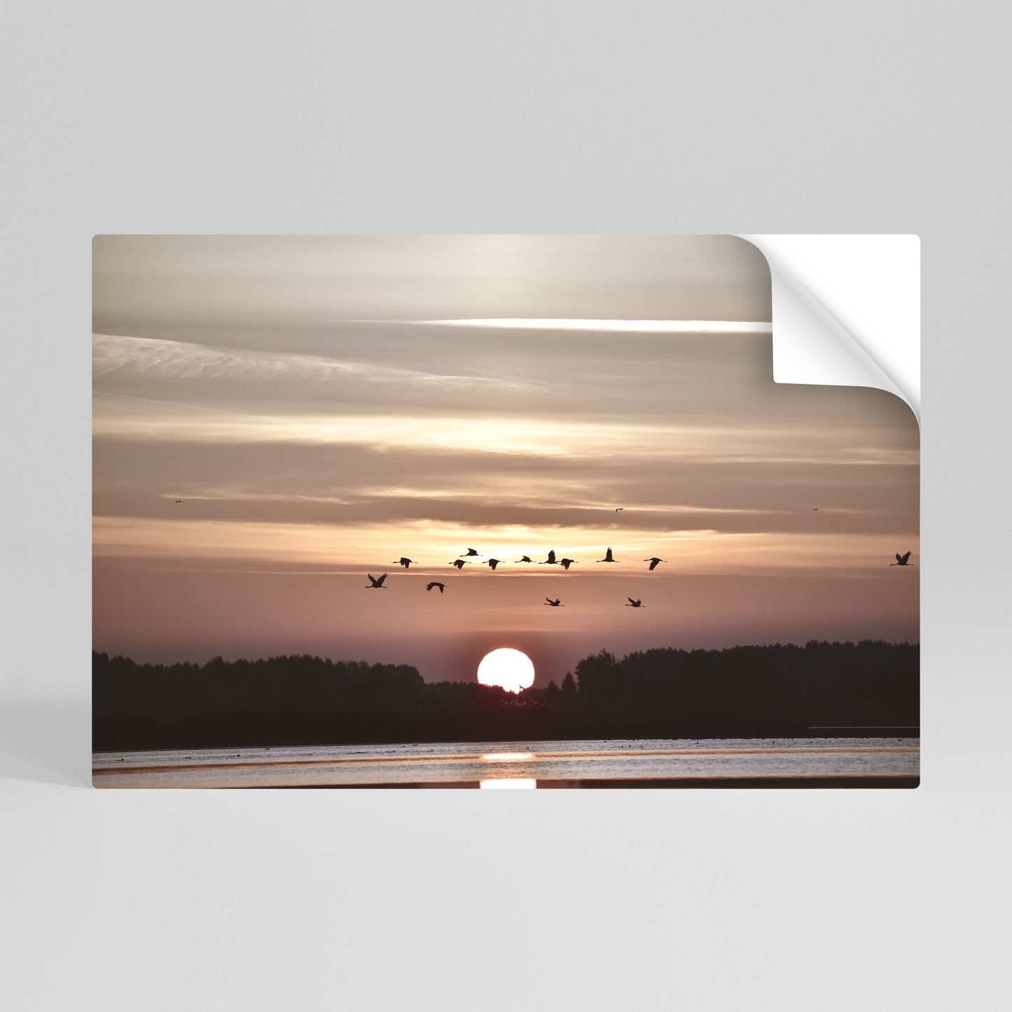 SUNSET FLIGHT SYMPHONY Poster orizzontale staccabile e attaccabile