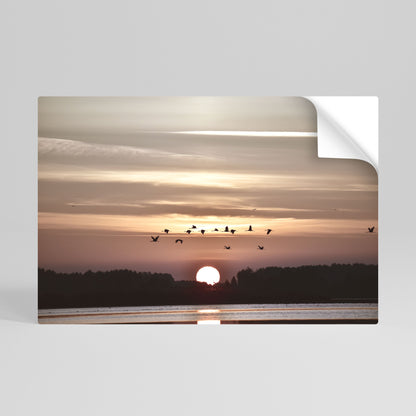 SUNSET FLIGHT SYMPHONY Poster orizzontale staccabile e attaccabile