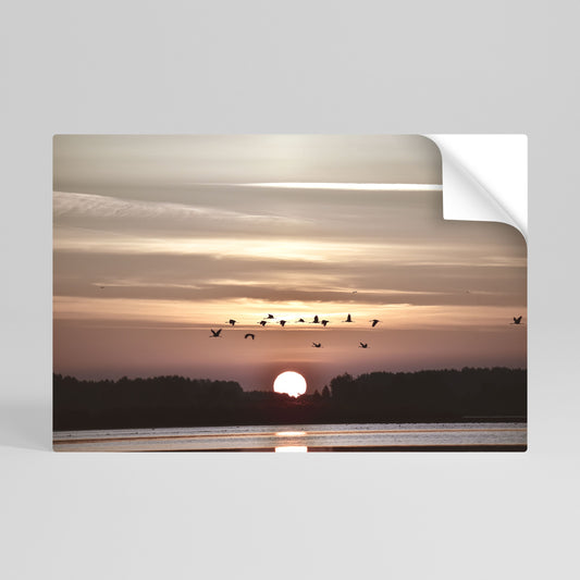 SUNSET FLIGHT SYMPHONY Poster orizzontale staccabile e attaccabile