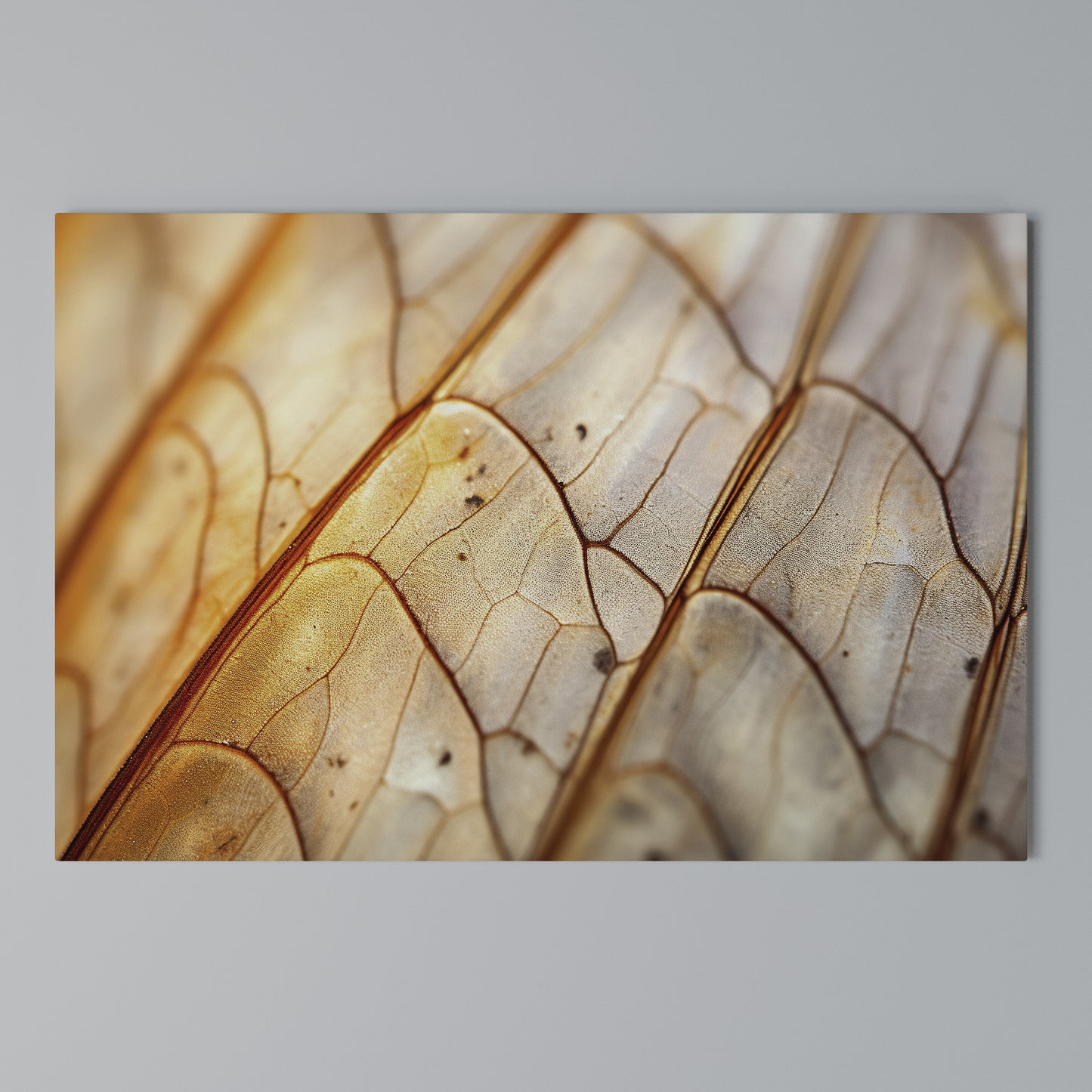 ELEGANT VEINING Stampa su tela orizzontale