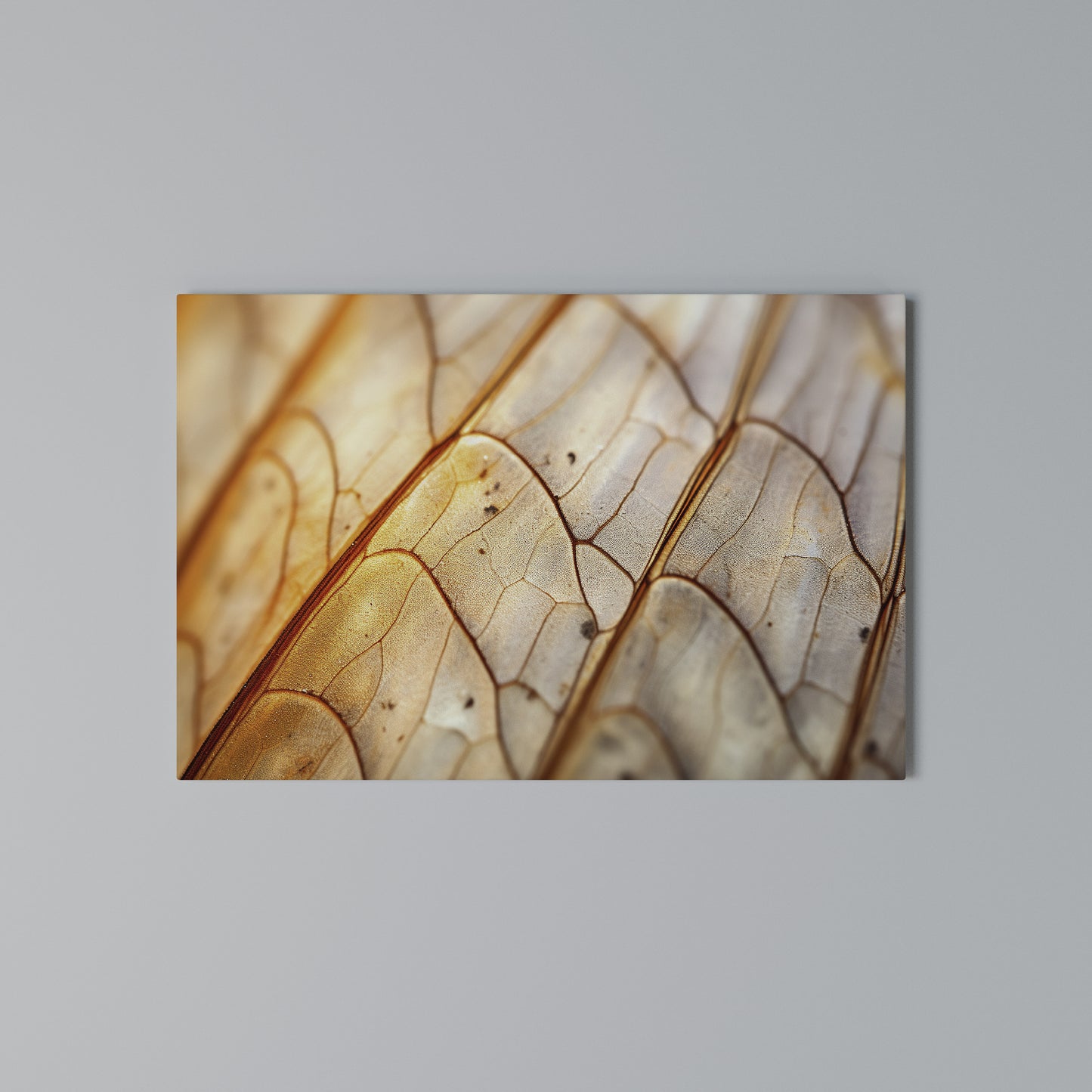 ELEGANT VEINING Stampa su tela orizzontale
