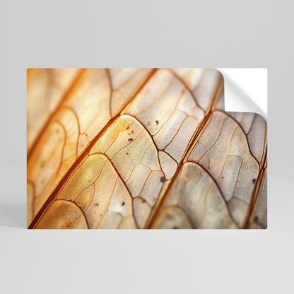 ELEGANTE VENATURA Poster orizzontale staccabile e attaccabile
