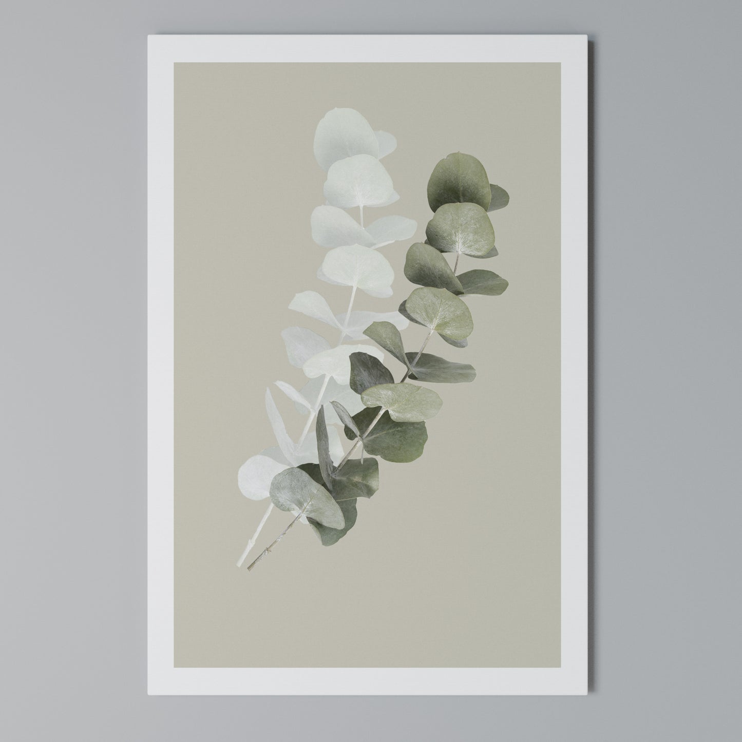 TRANSLUCENT NATURE Vertical Canvas Print