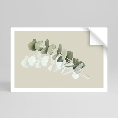 Poster orizzontale staccabile e attaccabile NATURA TRASLUCIDA