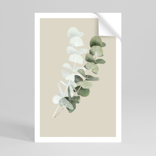 Poster verticale staccabile e attaccabile NATURA TRASLUCIDA
