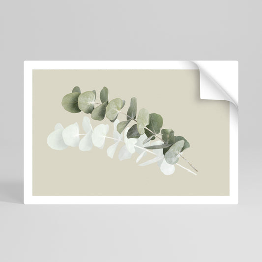 Poster orizzontale staccabile e attaccabile NATURA TRASLUCIDA