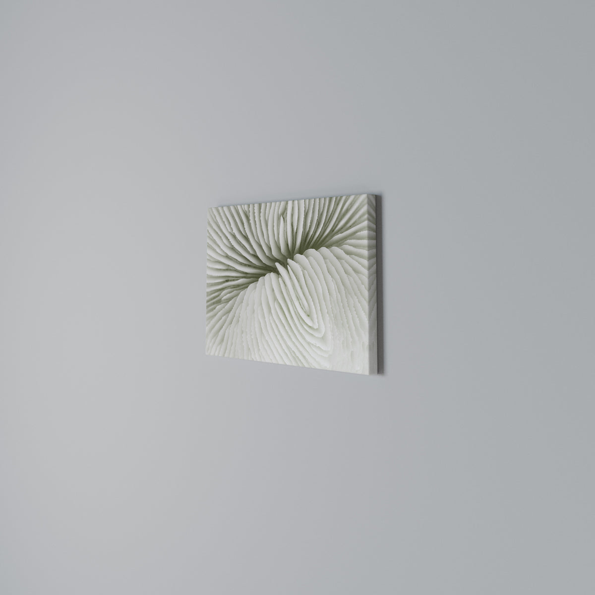 NATURE'S SYMMETRY Horizontal Canvas Print