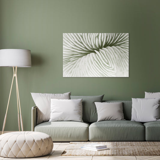 NATURE'S SYMMETRY Horizontal Canvas Print