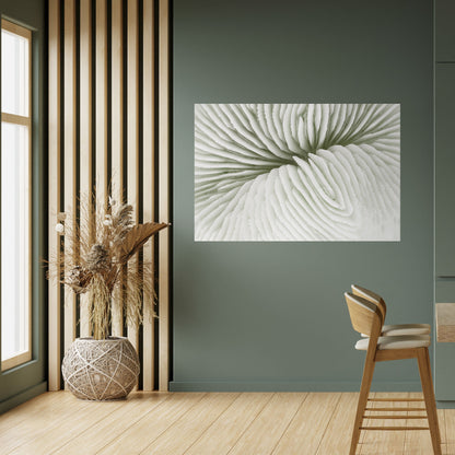 Poster orizzontale staccabile e attaccabile SIMMETRIA DELLA NATURA