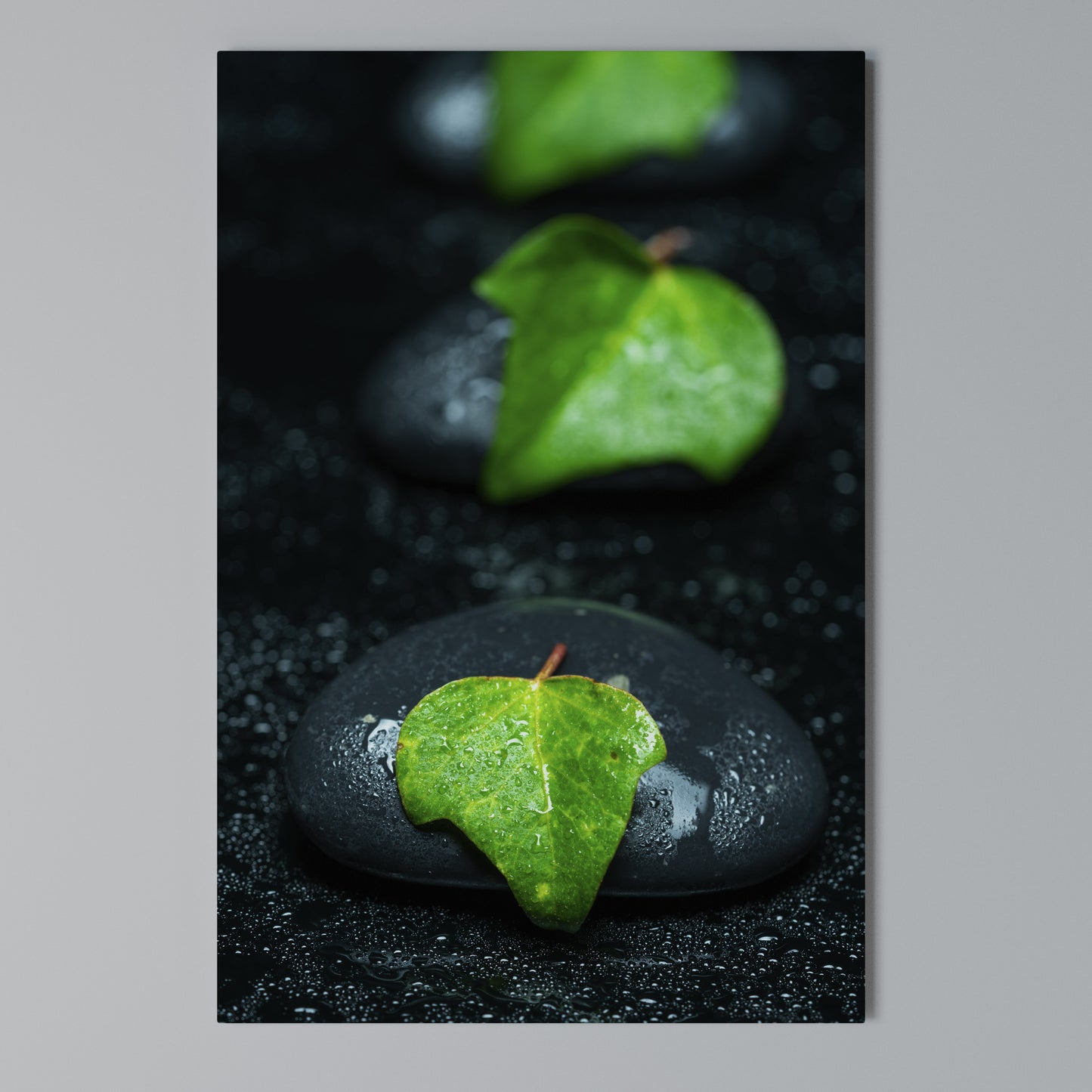 RAINDROPS ON STONE Stampa su Tela Verticale