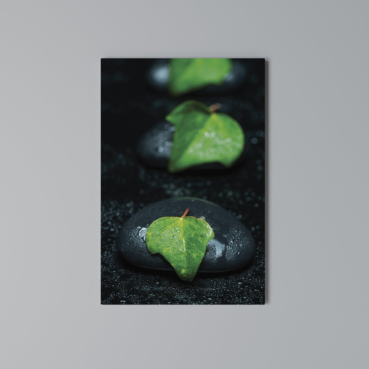 RAINDROPS ON STONE Stampa su Tela Verticale