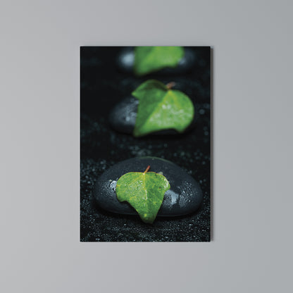 RAINDROPS ON STONE Stampa su Tela Verticale