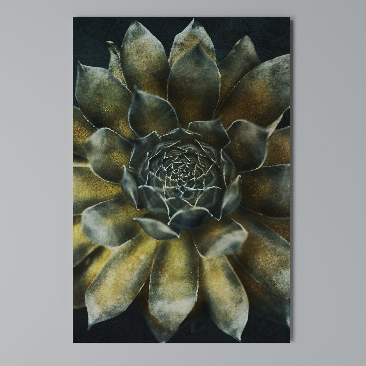 MYSTICAL SUCCULENT WHIRL Stampa su Tela Verticale