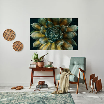 Poster orizzontale staccabile e attaccabile "MISTICO VIRTUALE DI SUCCULENTE"