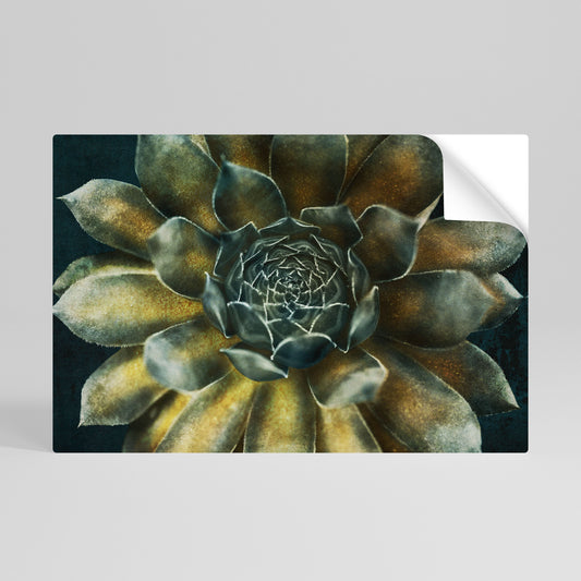 Poster orizzontale staccabile e attaccabile "MISTICO VIRTUALE DI SUCCULENTE"