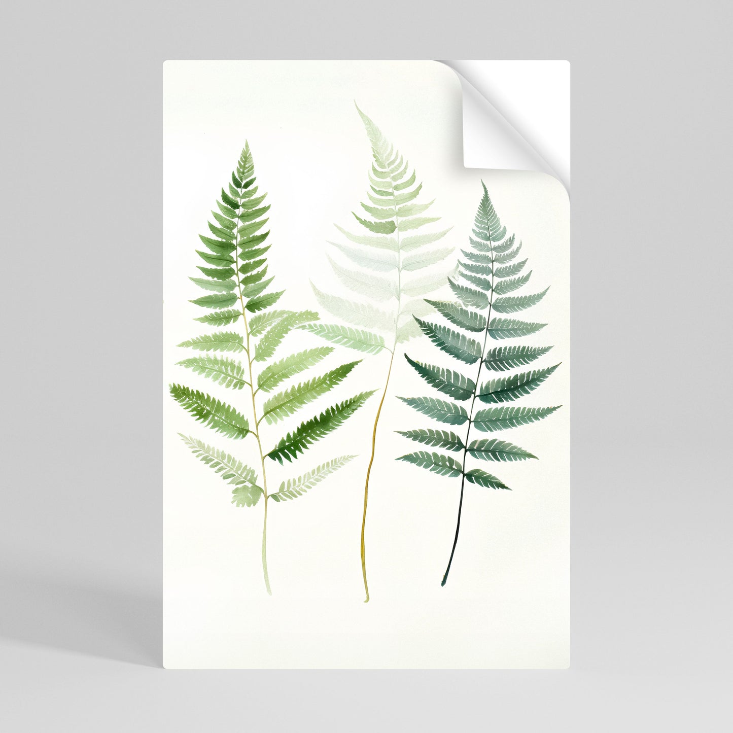 Poster verticale staccabile e attaccabile FERN MAJESTY