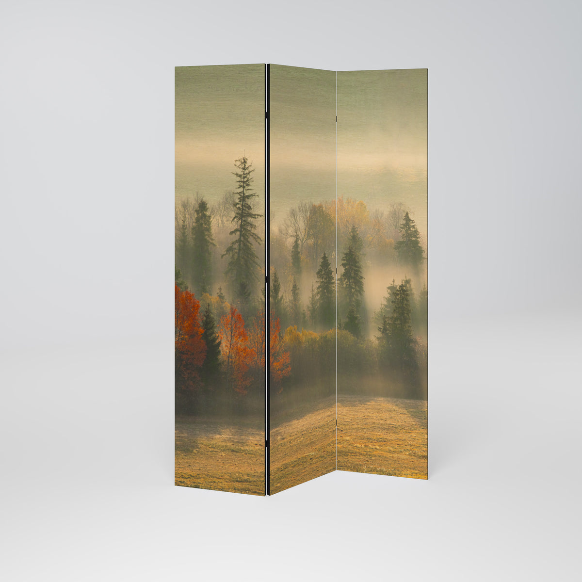 GILDING HOURS Paravento Decorativo a 3 Pannelli