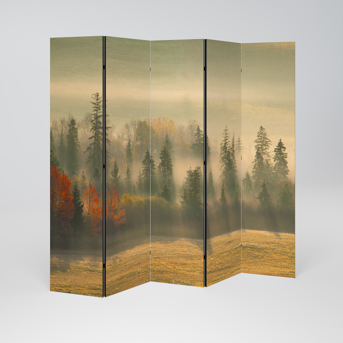 GILDING HOURS Paravento Decorativo a 5 Pannelli
