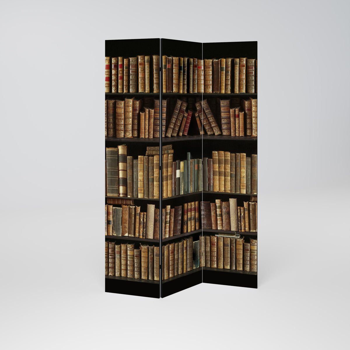 SHELVES OF TIME Paravento Decorativo a 3 Pannelli