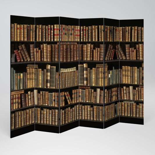 SHELVES OF TIME Divisorio decorativo per ambienti a 6 pannelli