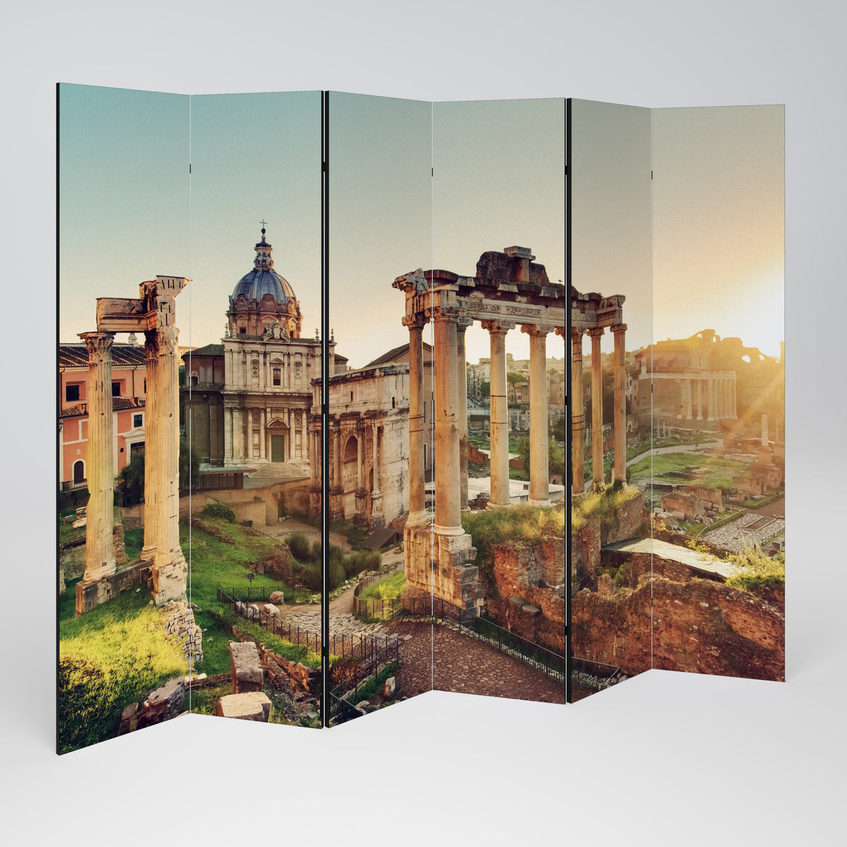 MARVELS OF THE PAST Decorative 6-Panel Room Divider