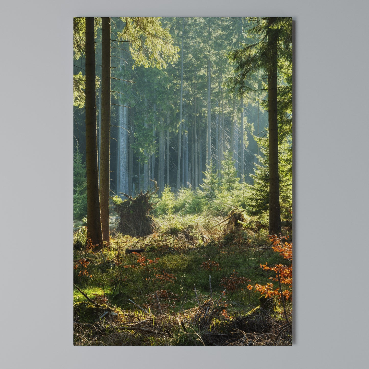 SUNLIT FOREST SERENADE Stampa su Tela Verticale