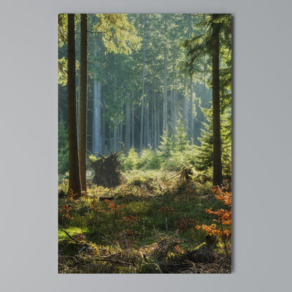 SUNLIT FOREST SERENADE Stampa su Tela Verticale