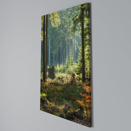 SUNLIT FOREST SERENADE Stampa su Tela Verticale