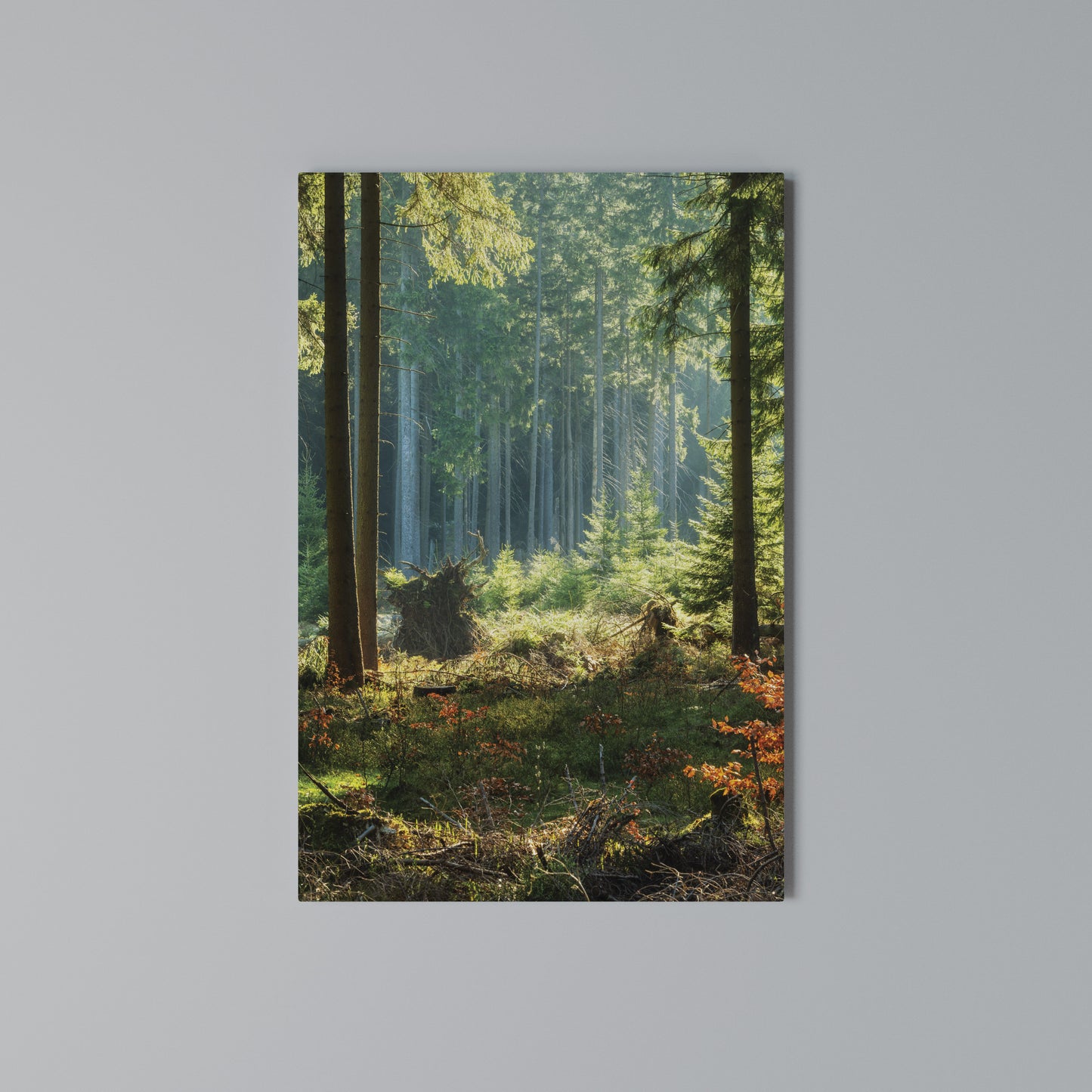 SUNLIT FOREST SERENADE Stampa su Tela Verticale