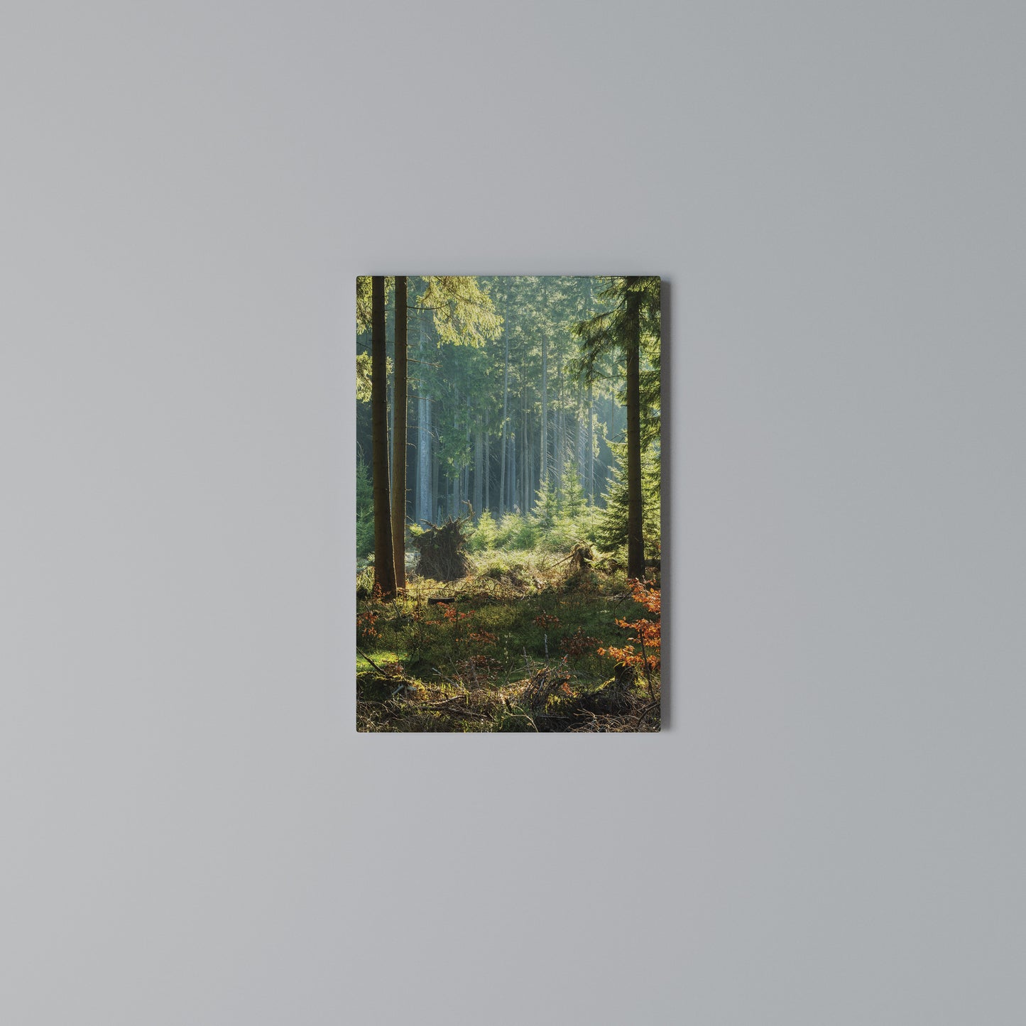 SUNLIT FOREST SERENADE Stampa su Tela Verticale