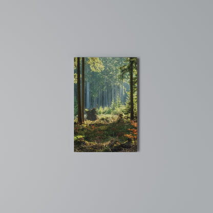 SUNLIT FOREST SERENADE Stampa su Tela Verticale